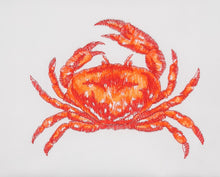 Lade das Bild in den Galerie-Viewer, Geschirrtuch Krabbe, weiß