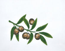 Lade das Bild in den Galerie-Viewer, Geschirrtuch Olive, weiß