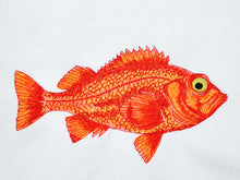 Lade das Bild in den Galerie-Viewer, Geschirrtuch Rotbarsch, weiß