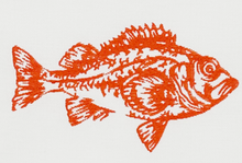 Lade das Bild in den Galerie-Viewer, Geschirrtuch Colorfish Coral, Weiß
