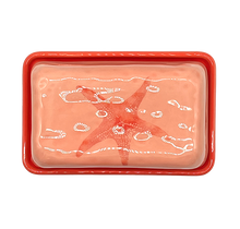 Lade das Bild in den Galerie-Viewer, Recife Butter Dish coral
