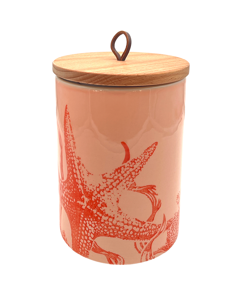 Recife Canister M coral