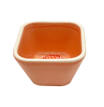 Lade das Bild in den Galerie-Viewer, Recife Mini Square Cup coral
