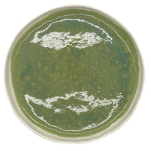 Lade das Bild in den Galerie-Viewer, Terra Heritage Dinner Plate

